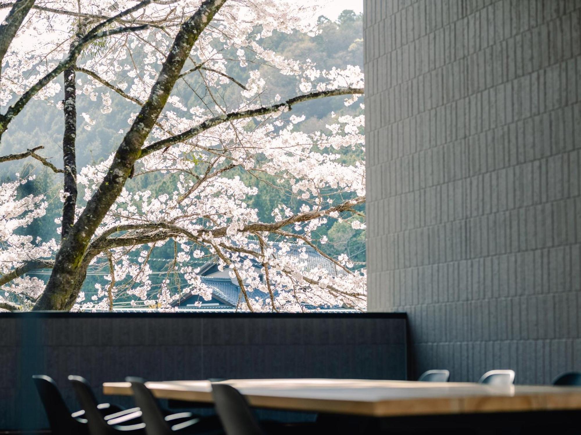 Tef Tanigumi - Vacation Stay 78908V Ibigawa Exterior photo